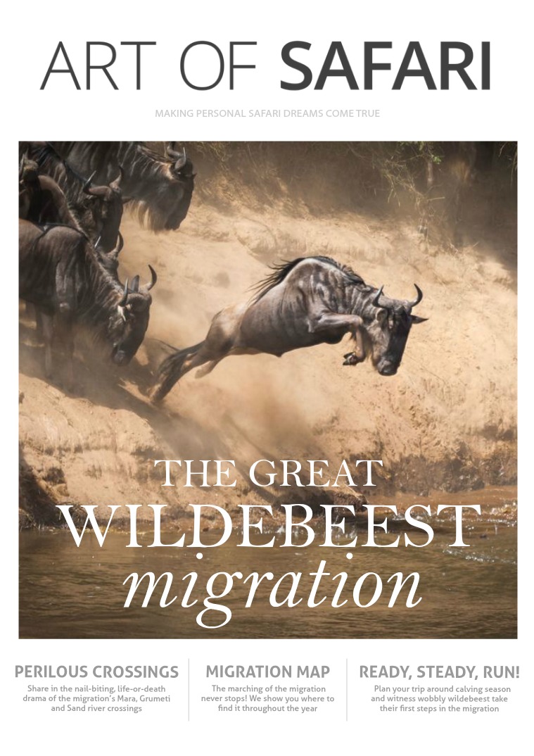 Great Wildebeest Migration