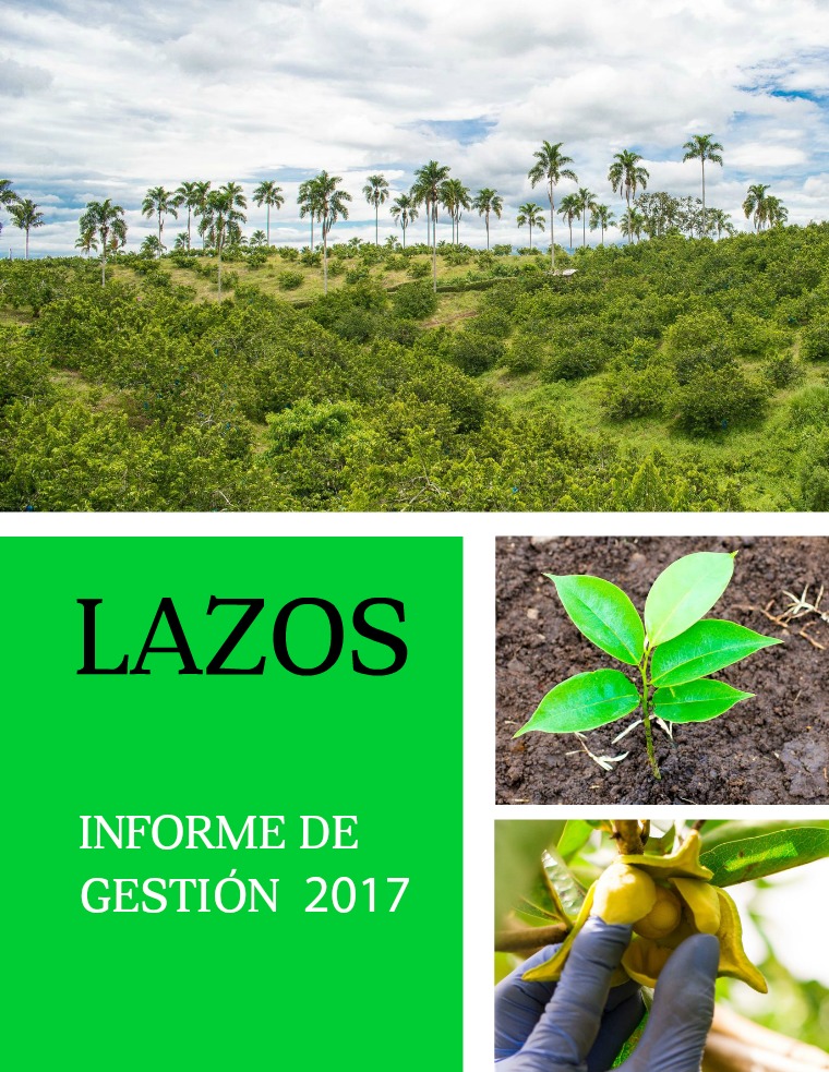 Informe de Gestión Lazos 2017