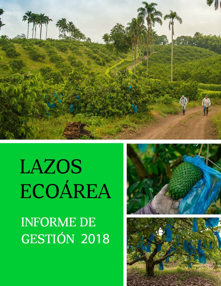 Informe de Gestión Lazos 2018