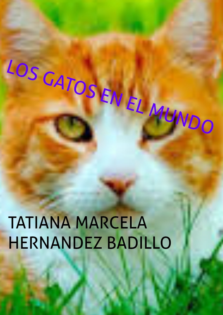 Los gatos en el mundo los gatos son especiales