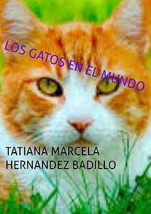 Los gatos en el mundo