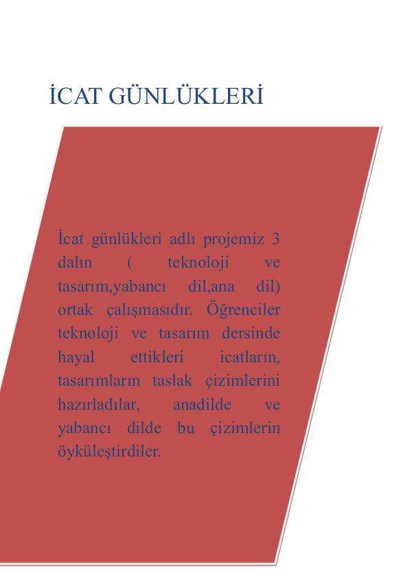 icat günlüğü (my invention)  İCAT GÜNLÜKLERİ