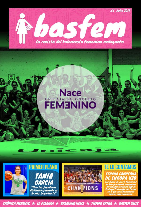 BASFEM N1