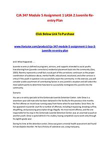 CJA 347 Module 5 Assignment 1 LASA 2 Juvenile Re-entry Plan