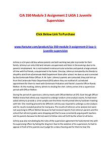 CJA 350 Module 3 Assignment 2 LASA 1 Juvenile Supervision