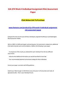 CJA 374 Week 4 Individual Assignment Risk Assessment Paper