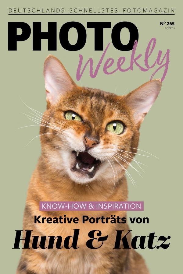 PhotoWeekly 26.04.2023