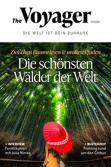 The Voyager