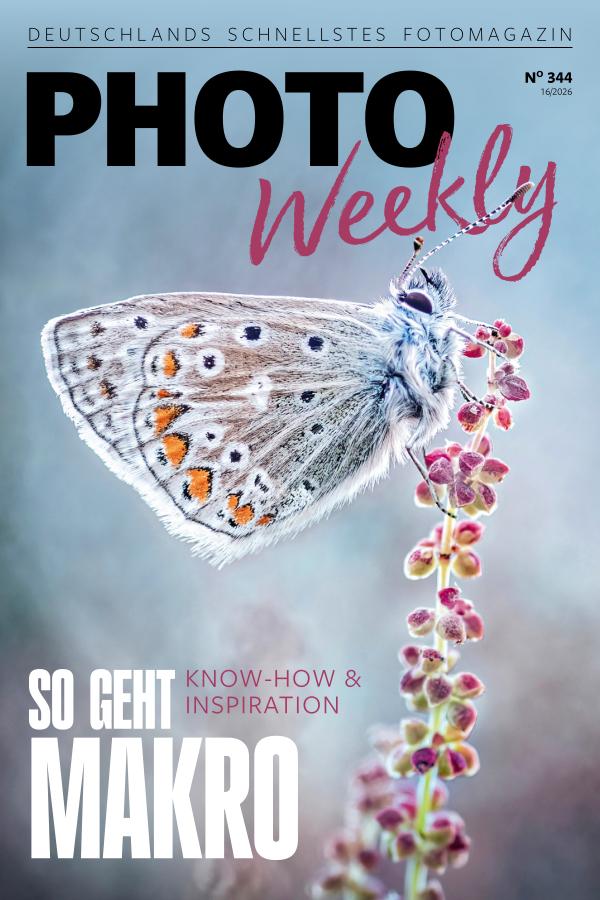PhotoWeekly 15.04.2026