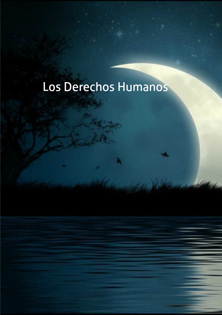 Los Derechos Humanos Los Derechos Humanos