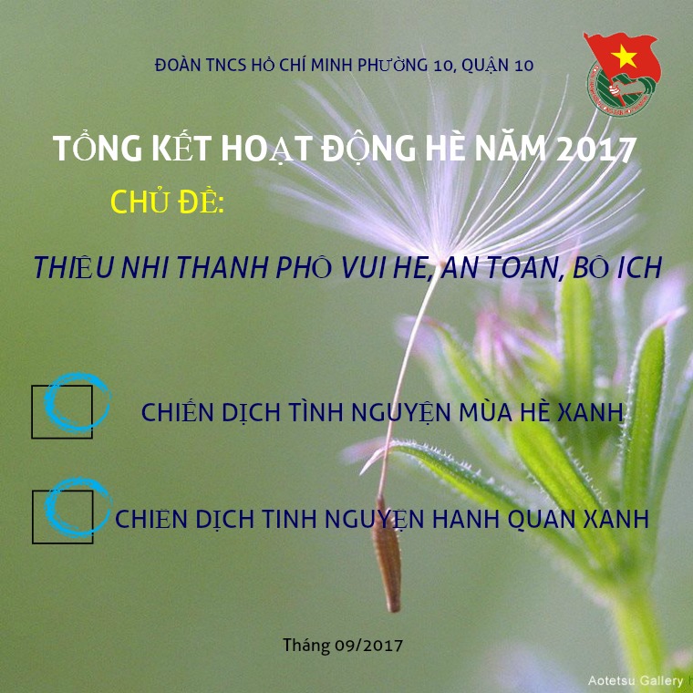 Tổng kết hoạt động Hè - Đoàn Phường 10 1