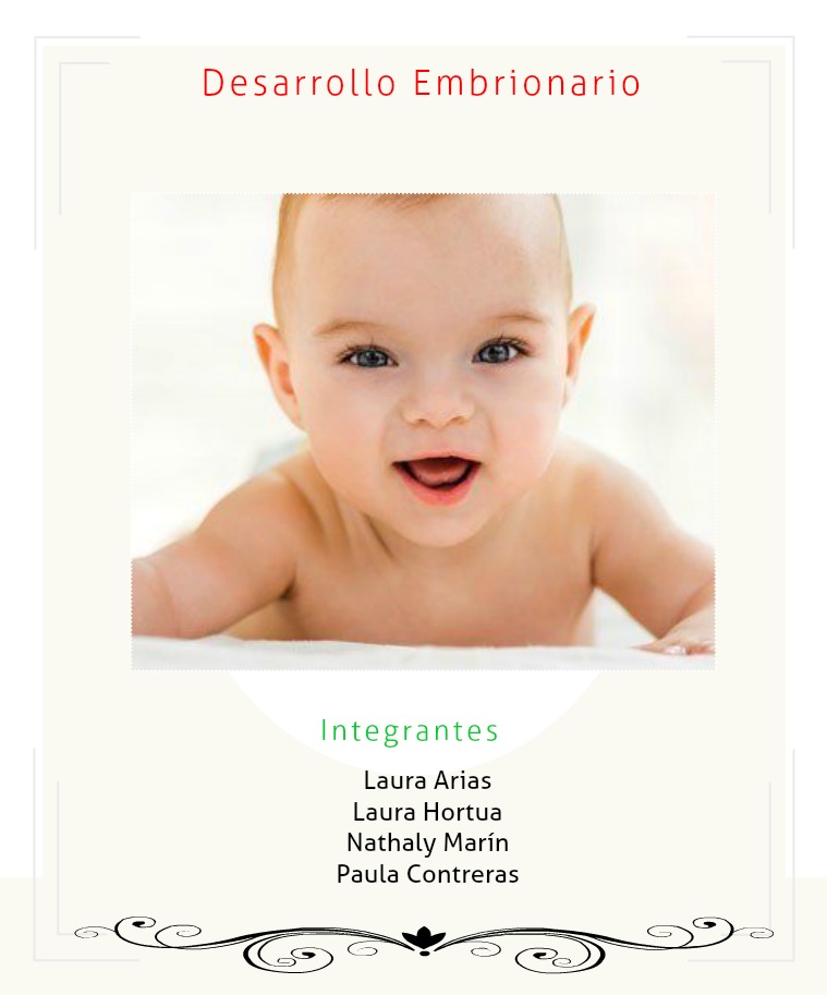 Desarrollo embrionario Desarrollo embrionario