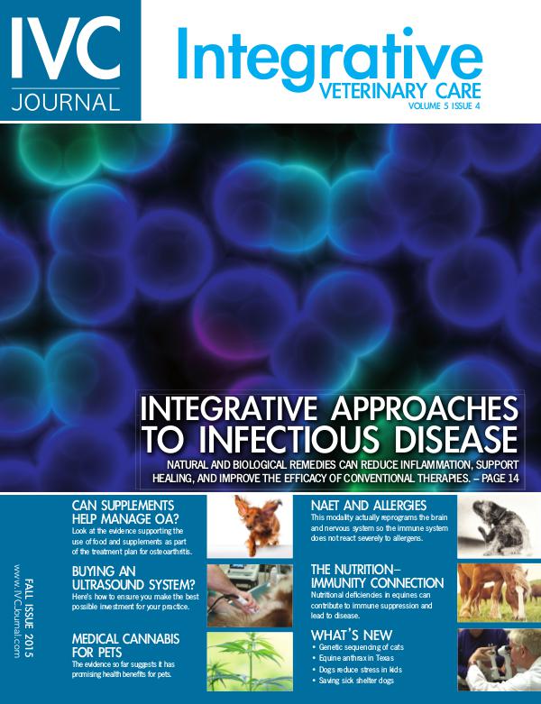 IVC Journal Fall 2015