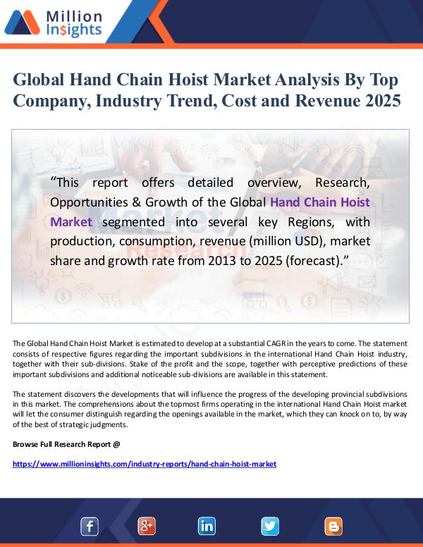 Market Giant Global Hand Chain Hoist Market Analysis By Top Com