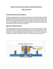 Pulse Jet valve