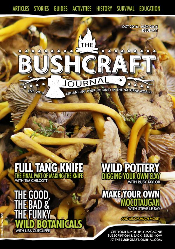 Issue 11