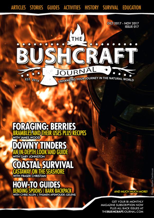 Issue 17