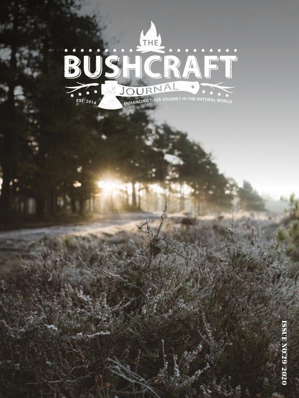 Issue 29