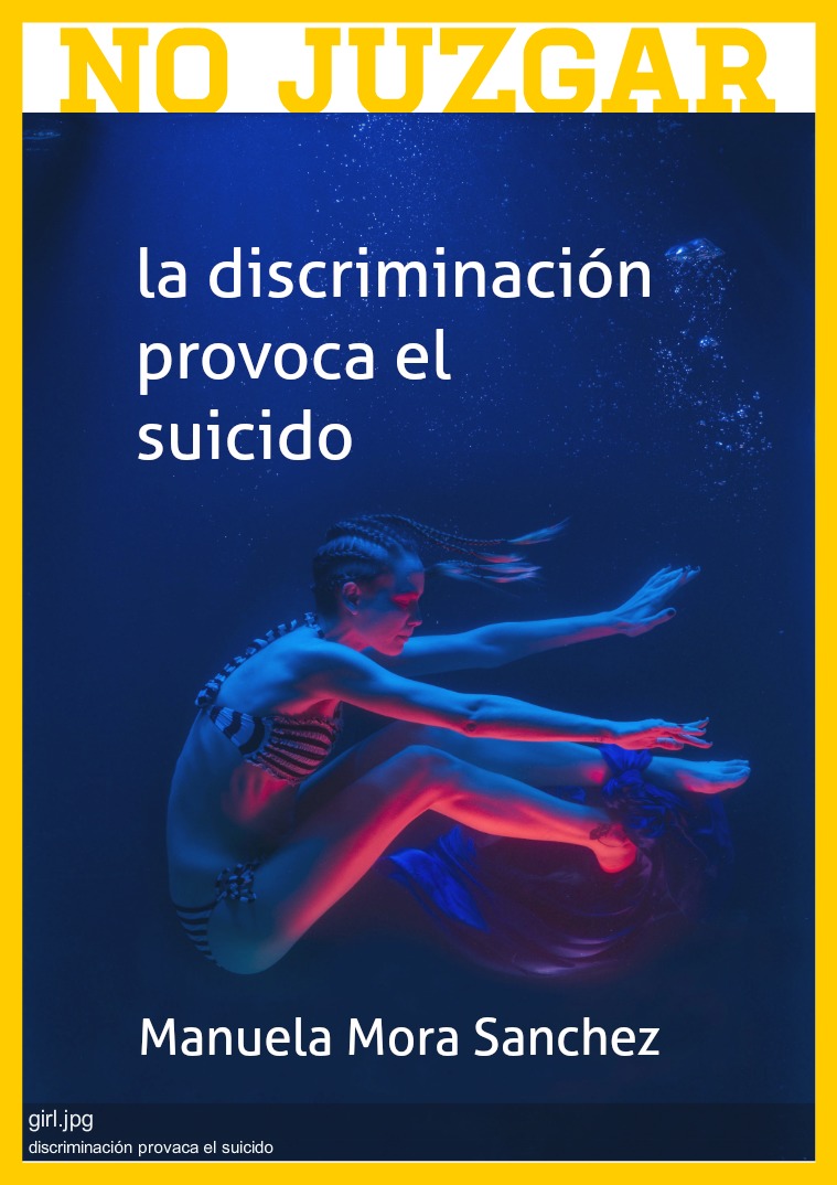 proyecto revista no