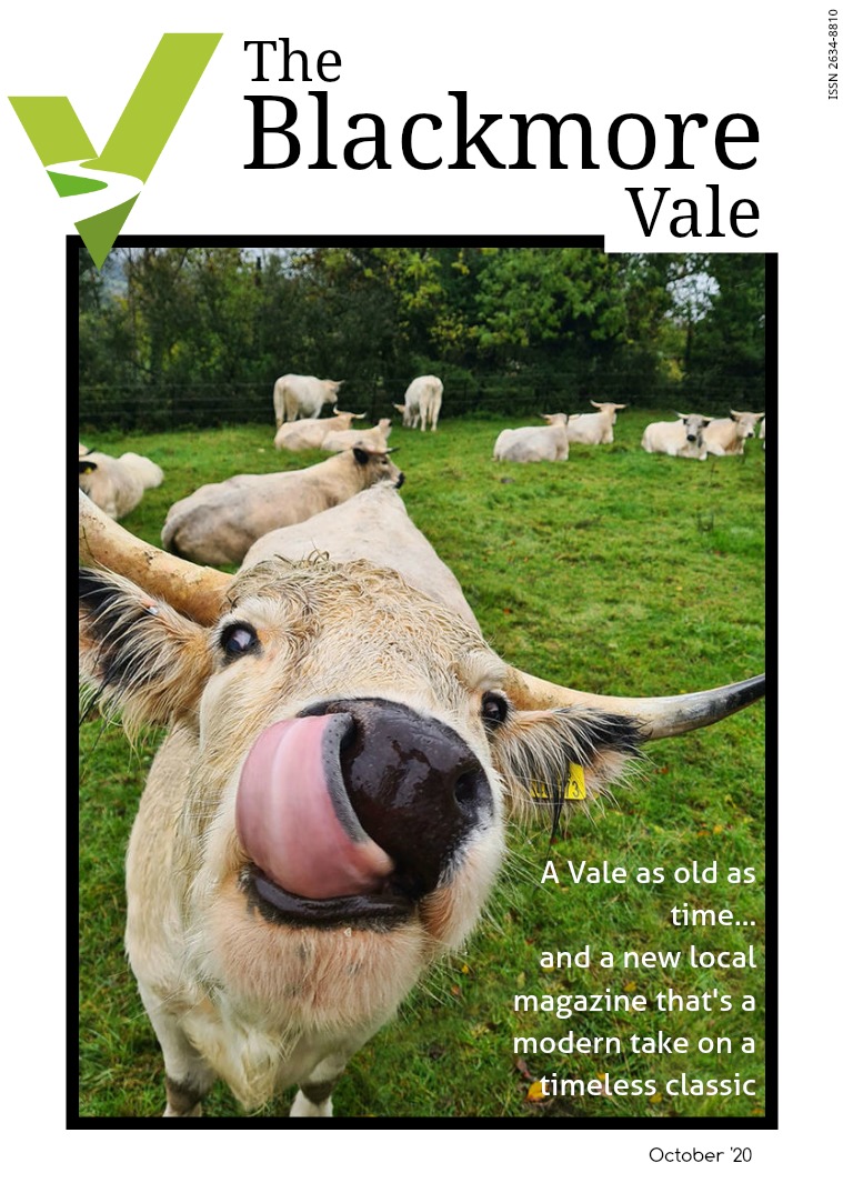 Blackmore Vale October 2020