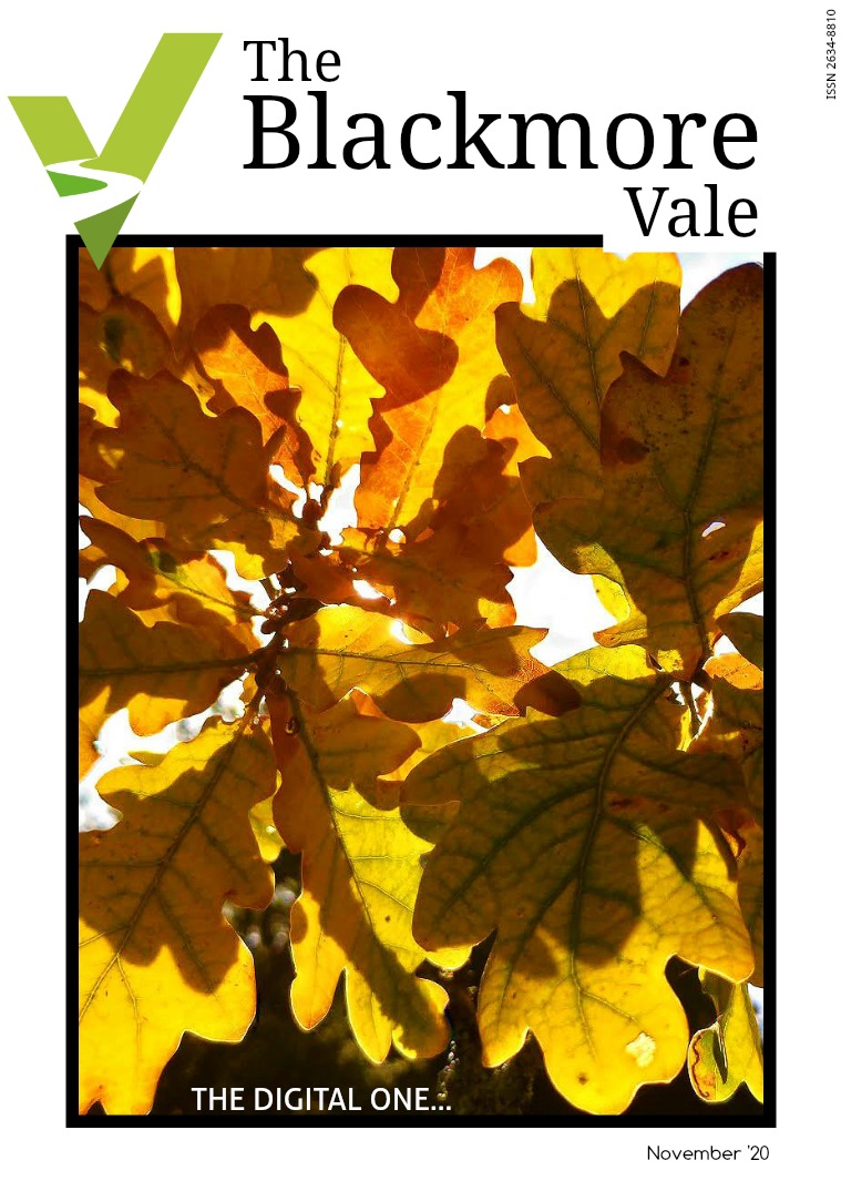 Blackmore Vale November 2020