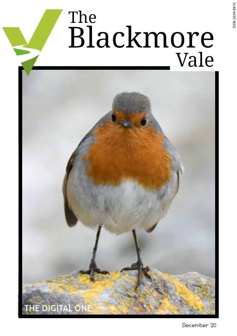 Blackmore Vale December 2020
