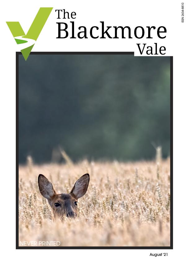 Blackmore Vale August 2021