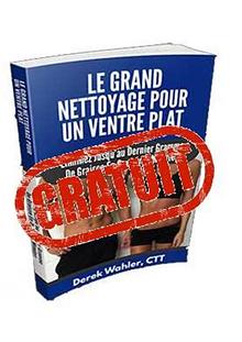 LE GRAND NETTOYAGE POUR UN VENTRE PLAT PDF GRATUIT