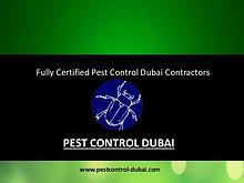 Pest Control Services Dubai