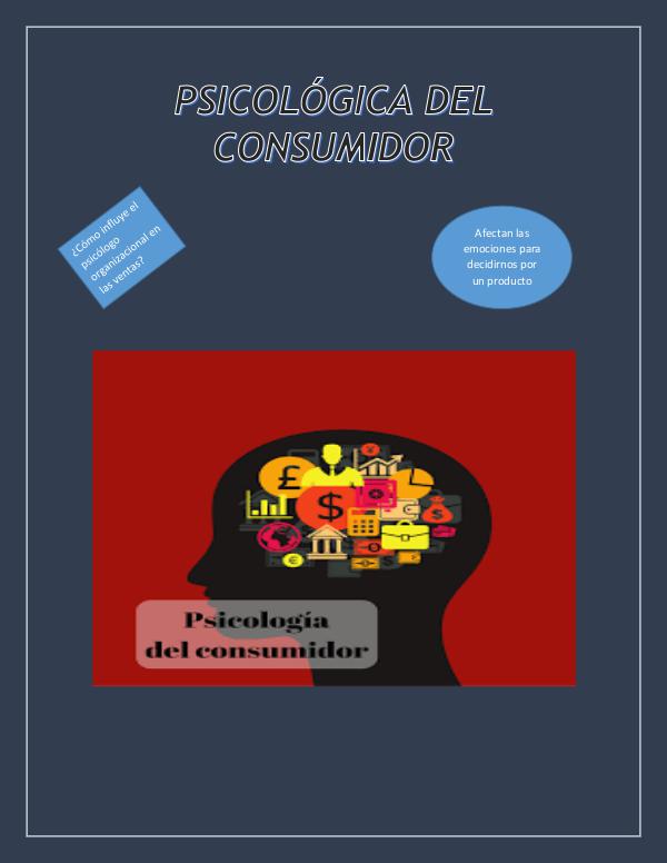 PSICOLOGÍA DE EL CONSUMIDOR ORGANIZACION (2)