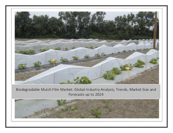 Biodegradable Mulch Film Market