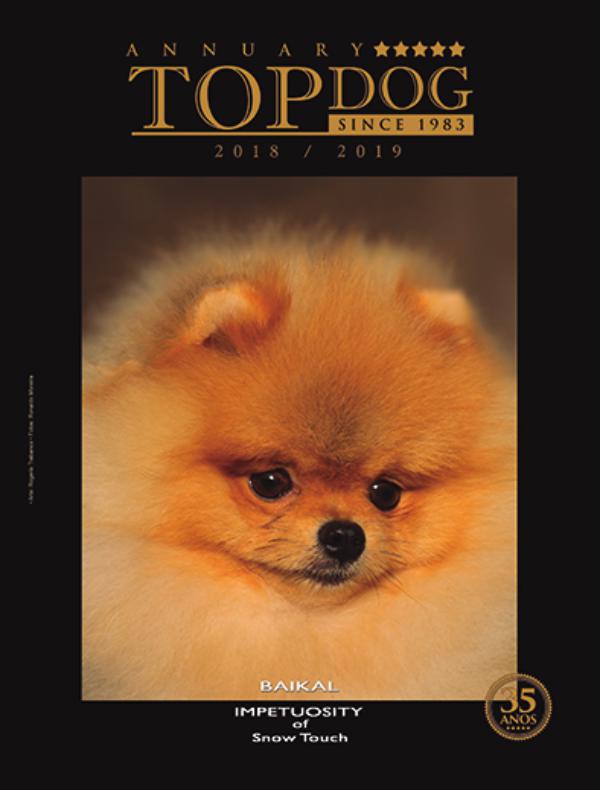 topdoga12019 topdog2019a