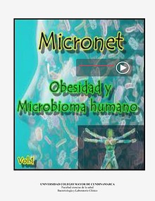 Micronet