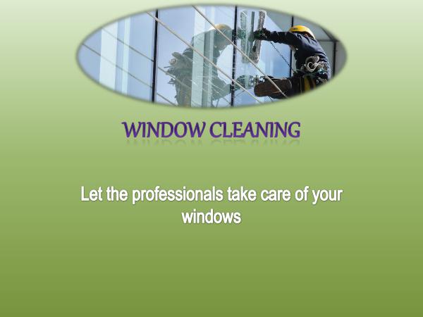 Window Cleaning - Let the professionals take care