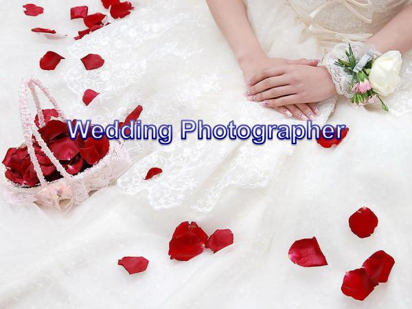 Wedding Photographer