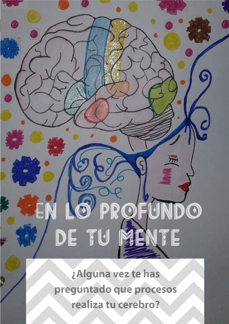 Mi primera revista - procesos cognitivos En lo profundo de tu mente