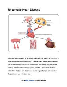 Heart and Aorta