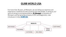 GUBB WORLD USA