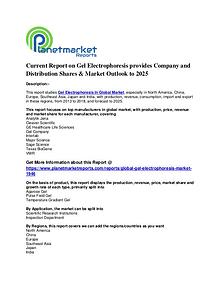 Current Report on Gel Electrophoresis provides Company by 2025