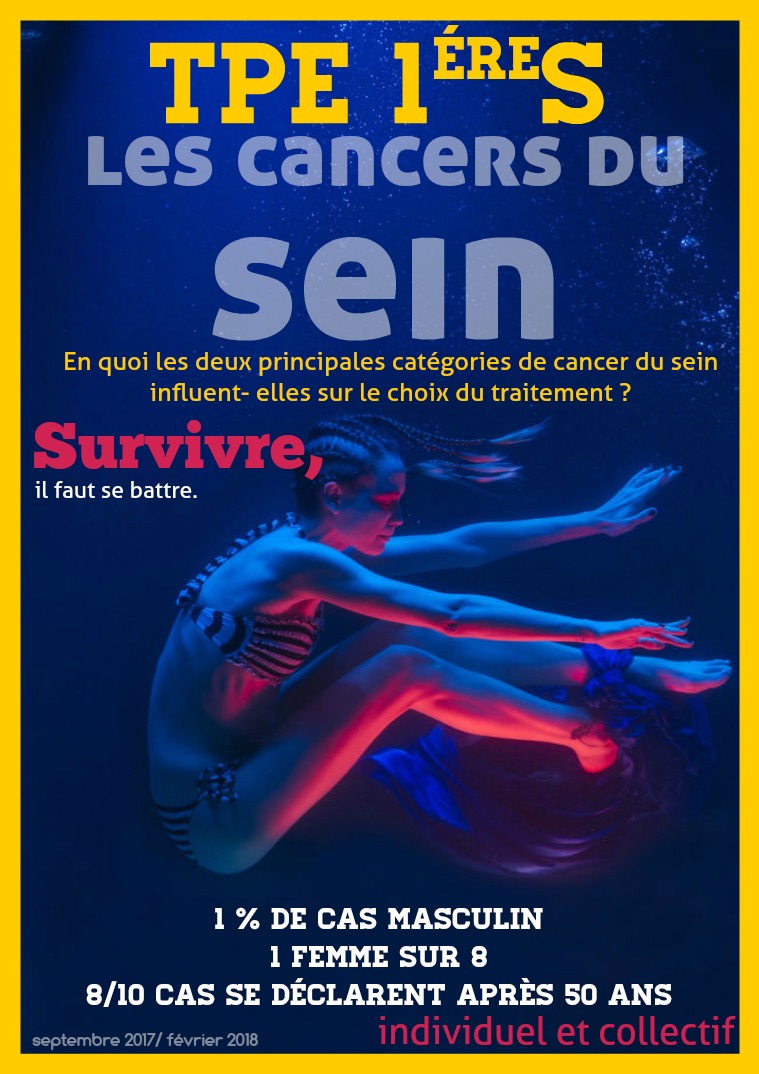 Les cancers du sein Les TPE premiere S