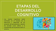 Etapas del Desarrollo Cognitivo