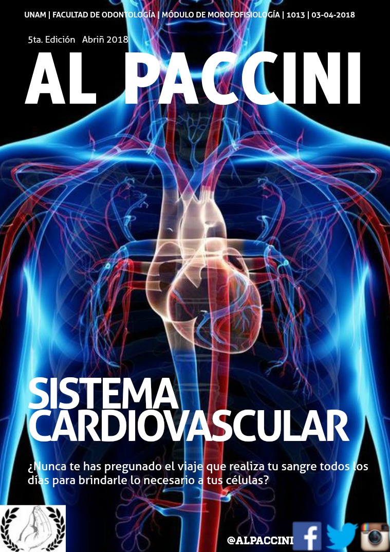 Sistema cardiovascular