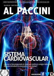 AL PACCINI 4