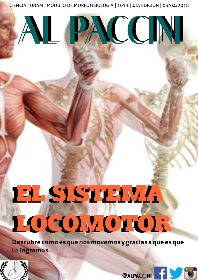 Sistema locomotor