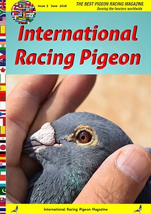 International Racing Pigeon