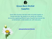 Orchid Baskets for Sale Online in Florida