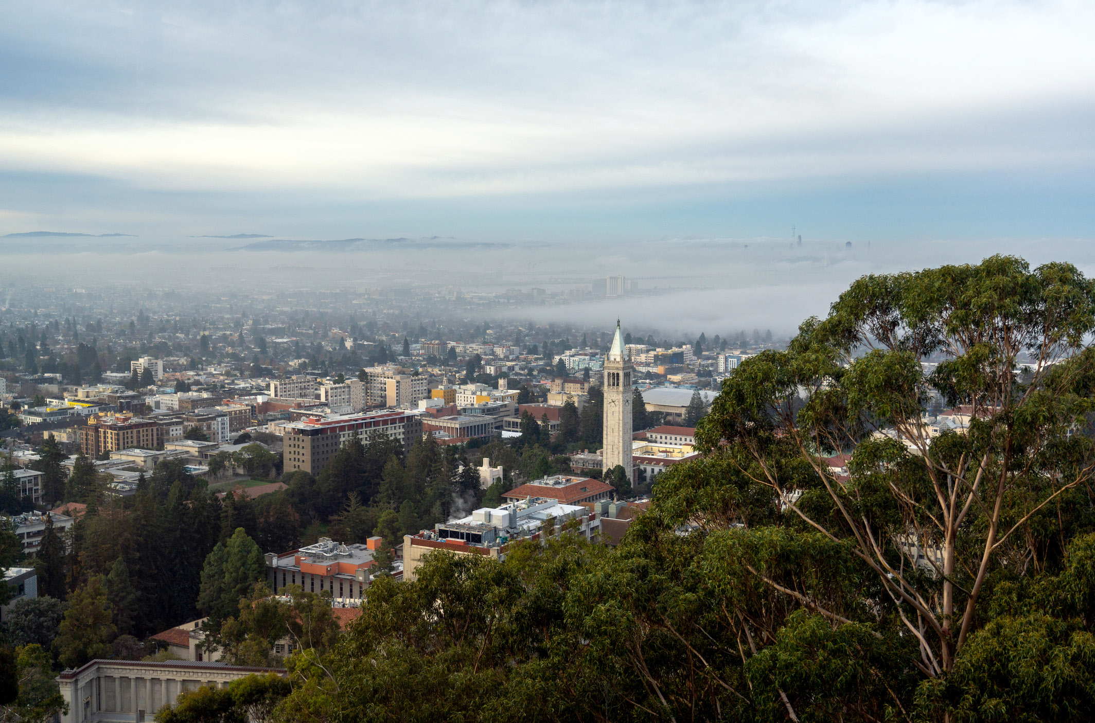 A high-angle view of the Oakland skyline featuring the Sather Tower