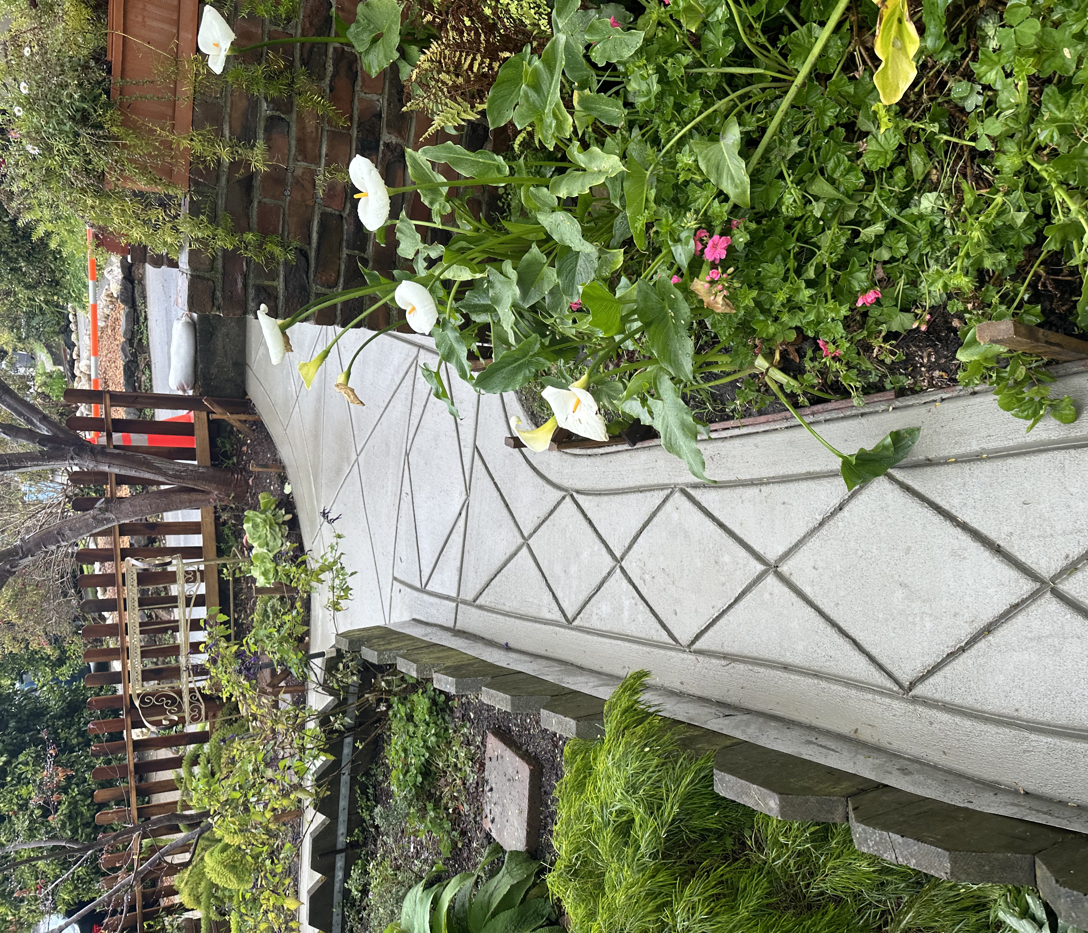 Curved residential concrete walkway showing finishing details