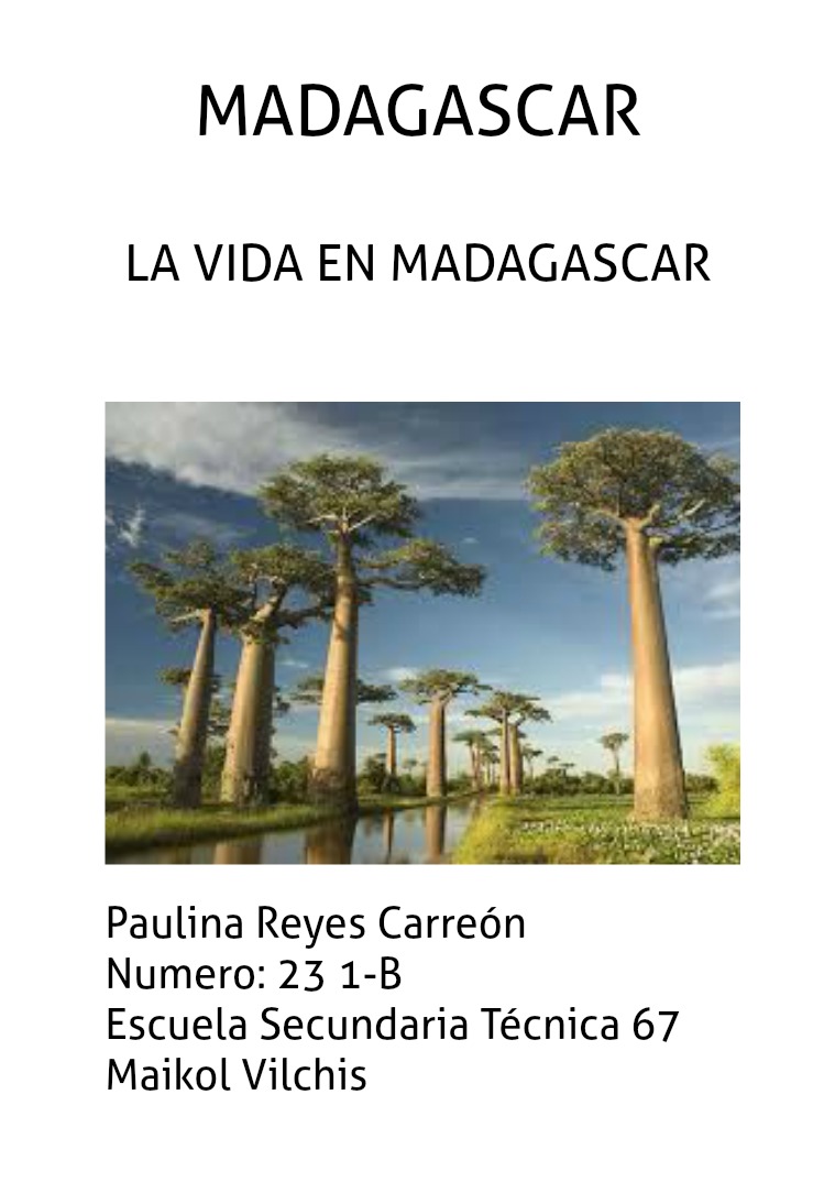 LA VIDA EN MADAGASCAR LA VIDA EN MADAGASCAR