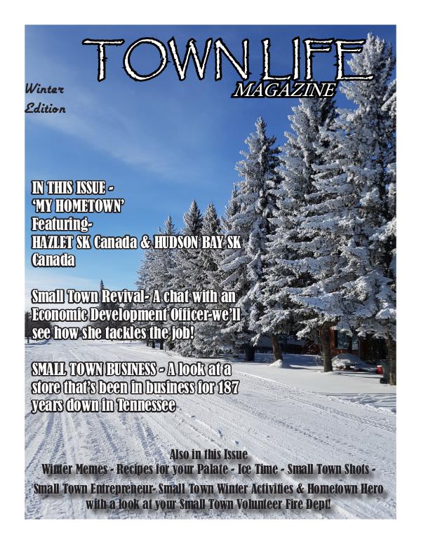 Town Life Winter Edition